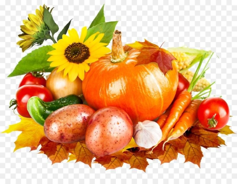 Осенние овощи и фрукты