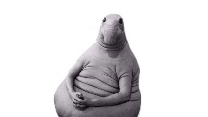 Ждун Мона Лиза