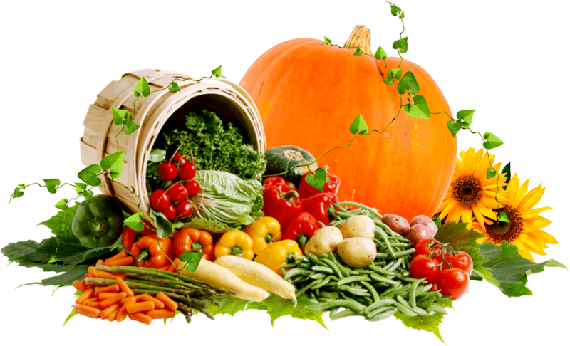 Овощи фрукты клипарт
