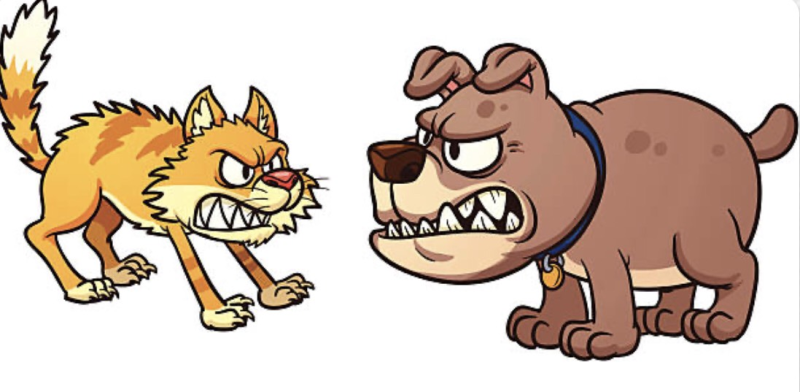 Злая собака на белом фоне