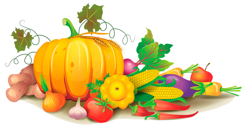 Осень урожай дети