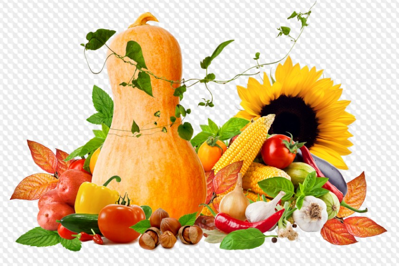 Осенние овощи
