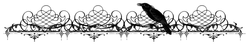 Виньетка горизонтальная