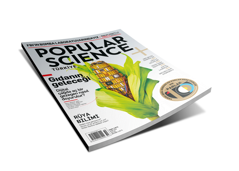 Журнал на белом фоне