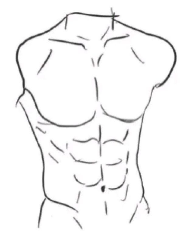 Мужской торс рисунок