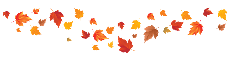 Листья на белом фоне