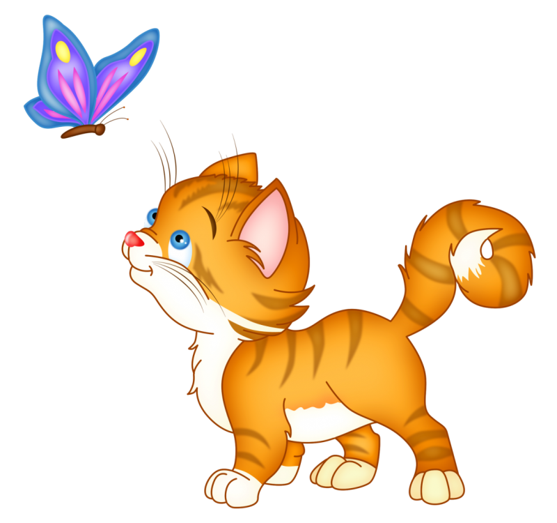 Котенок на прозрачном фоне