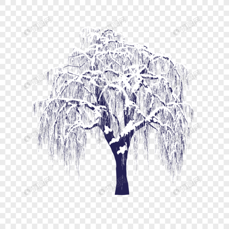 Зимнее дерево на прозрачном фоне