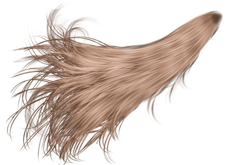 Волосы для фотошопа