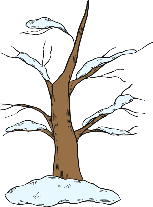 Зимнее дерево на белом фоне для детей