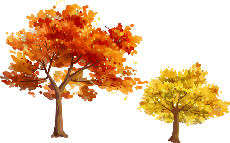 Осеннее дерево на прозрачном фоне