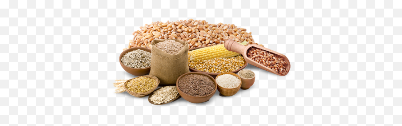 Крупы на белом фоне