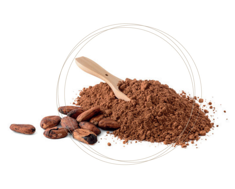 Какао Бобы и порошок