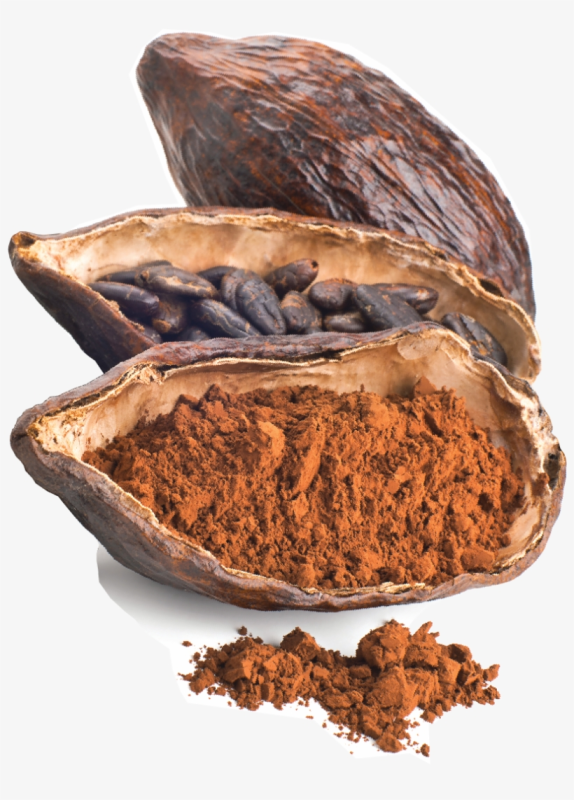 Какао Бобы на прозрачном фоне