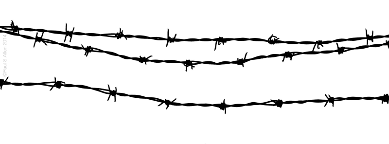 Колючая проволока на прозрачном фоне