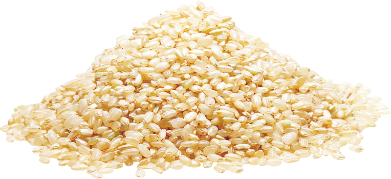 Крупы на белом фоне