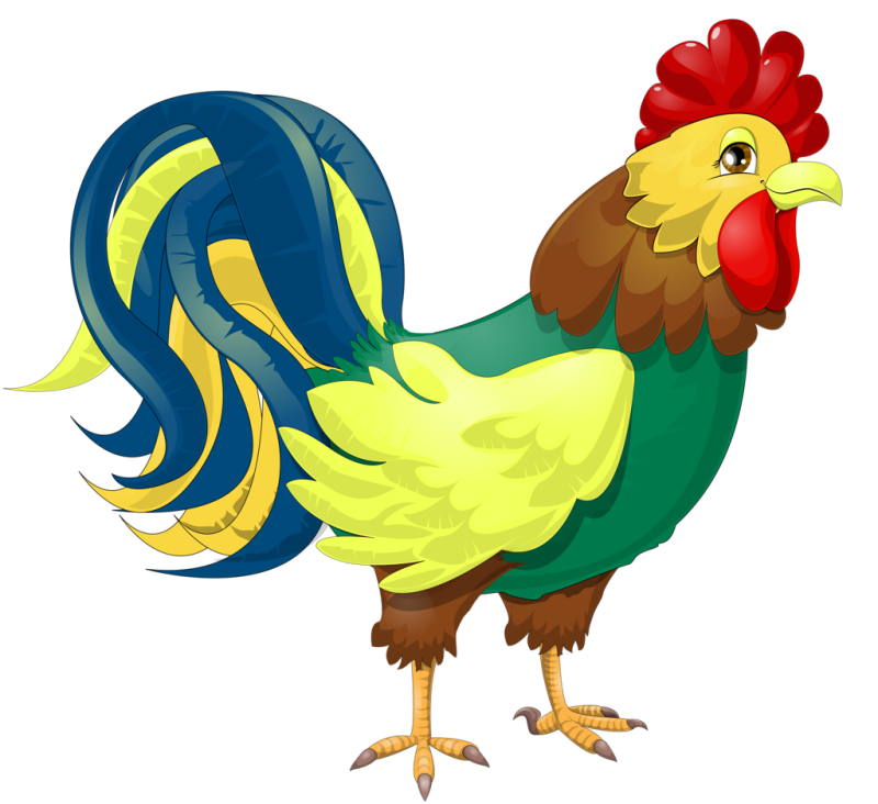 Петух для детей