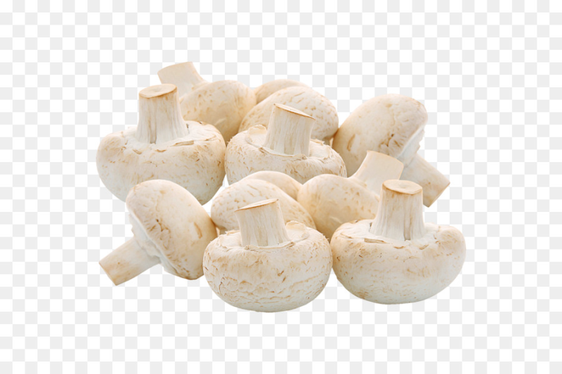Шампиньоны без фона