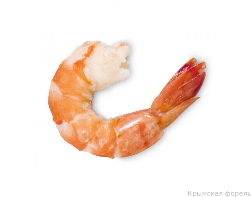 Прозрачная креветка