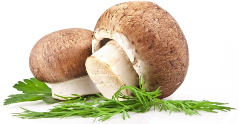 Грибы шампиньоны