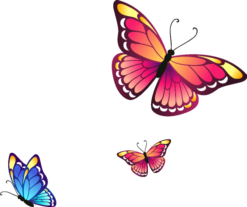 Бабочка рисунок