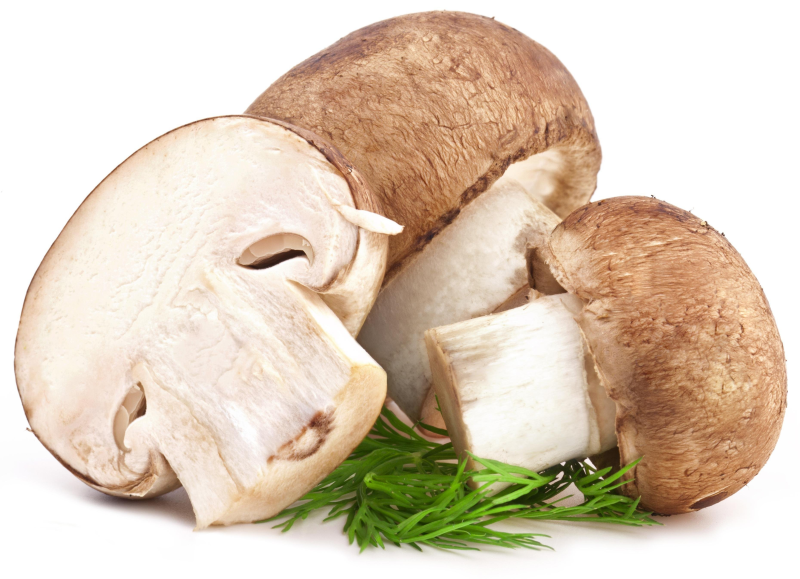 Грибы на белом фоне