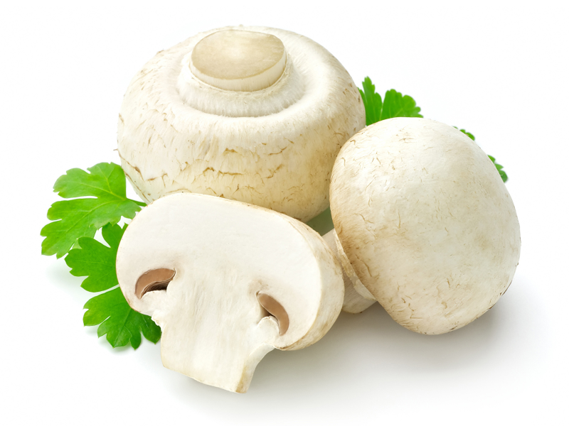 Белые грибы шампиньоны