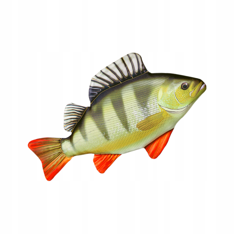 Окунь для детей