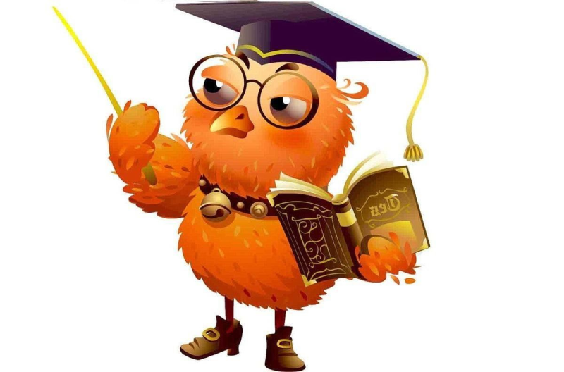 Спасибо за внимание Сова