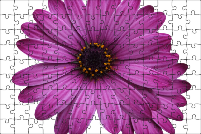 Цветочки на прозрачном фоне