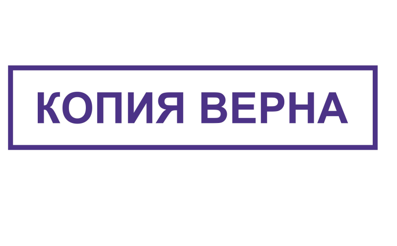 Оттиск штампа копия верна