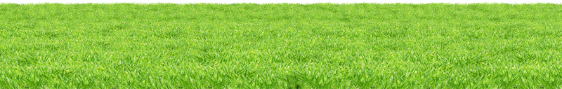 Газонная трава для фотошопа