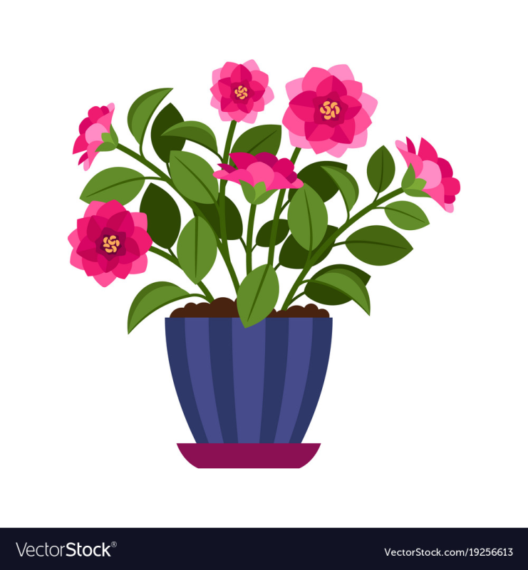 Цветок в горшке на прозрачном фоне