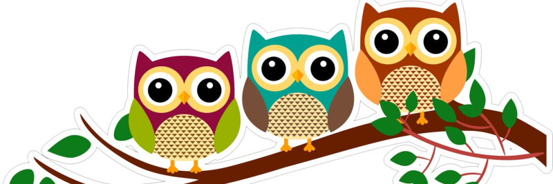 Векторное изображение Совы