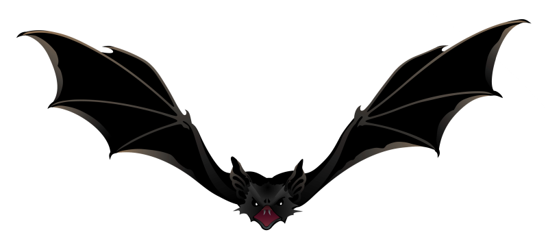 Летучая мышь на белом фоне