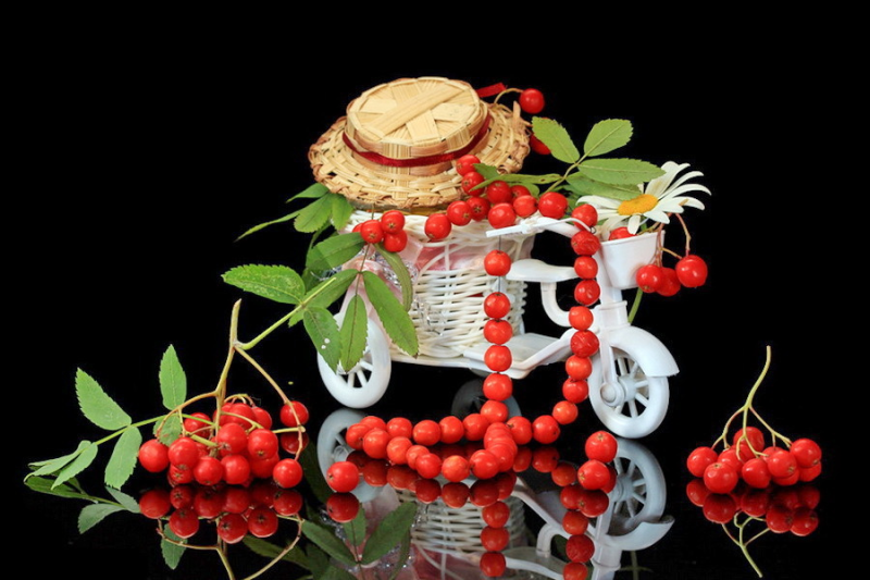 Рябина бусы