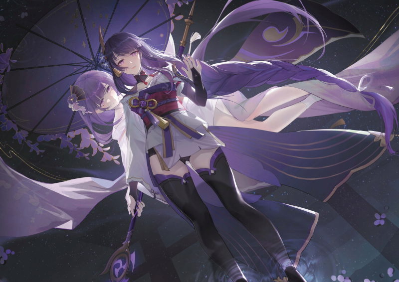 Сегун рейдан