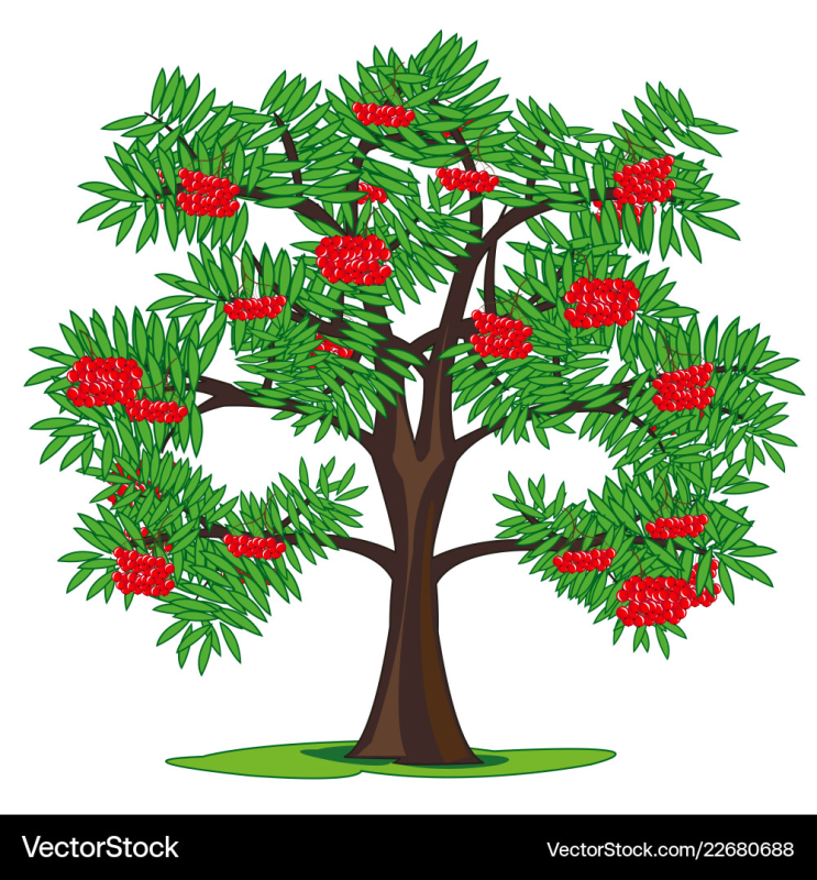 Мультяшное дерево рябина