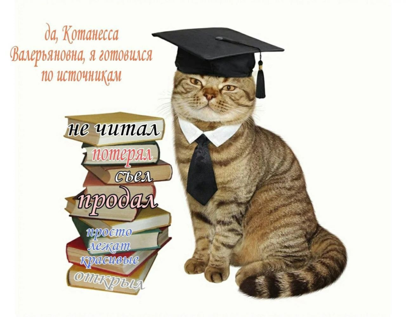 Кот учитель