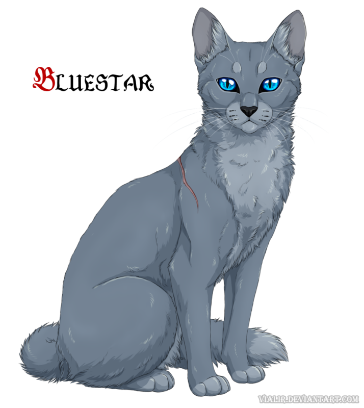 Катываители синия звизда