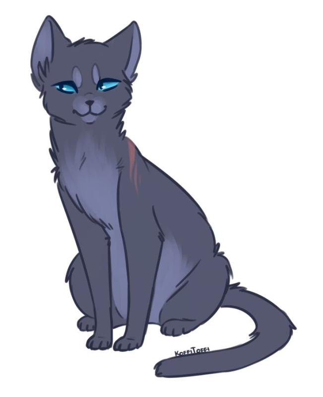 Синяя коты Воители синяя звезда