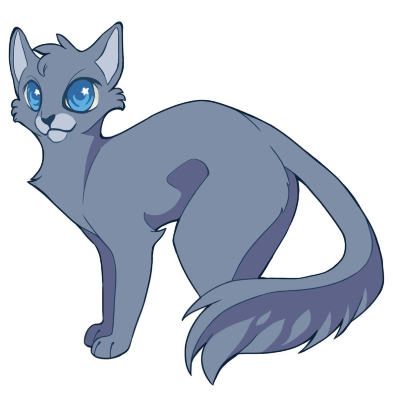 Коты Воители синяя звезда