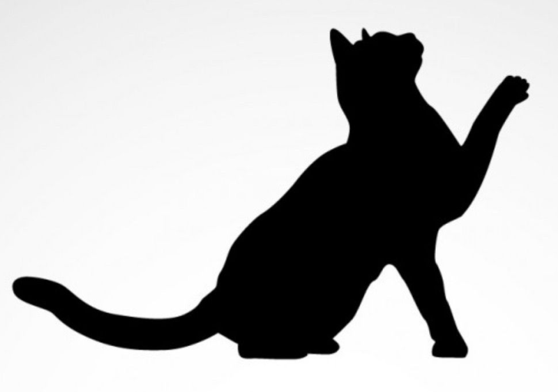 Очертания кота