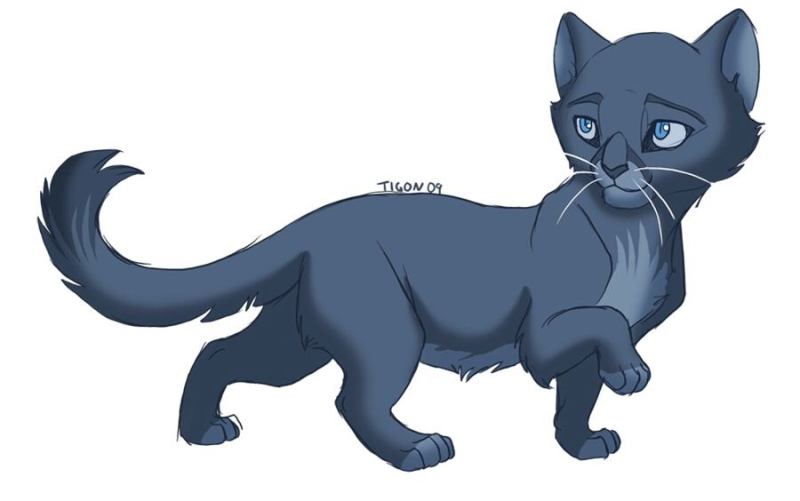 Коты Воители синяя звезда аниме