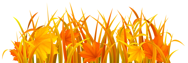 Осенняя трава