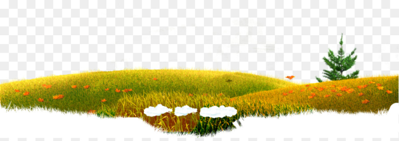 Поляна на прозрачном фоне