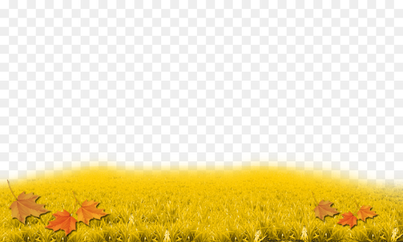 Осенняя трава на прозрачном фоне