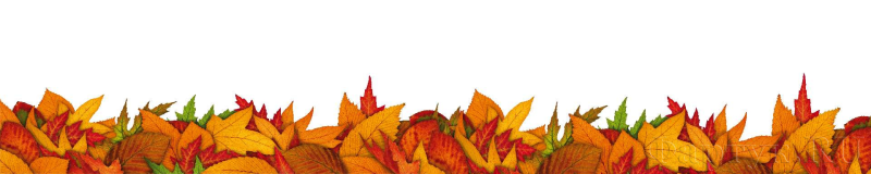 Бордюр из осенних листьев на прозрачном фоне