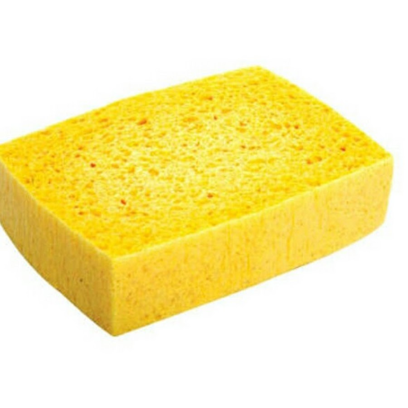 Губка без фона