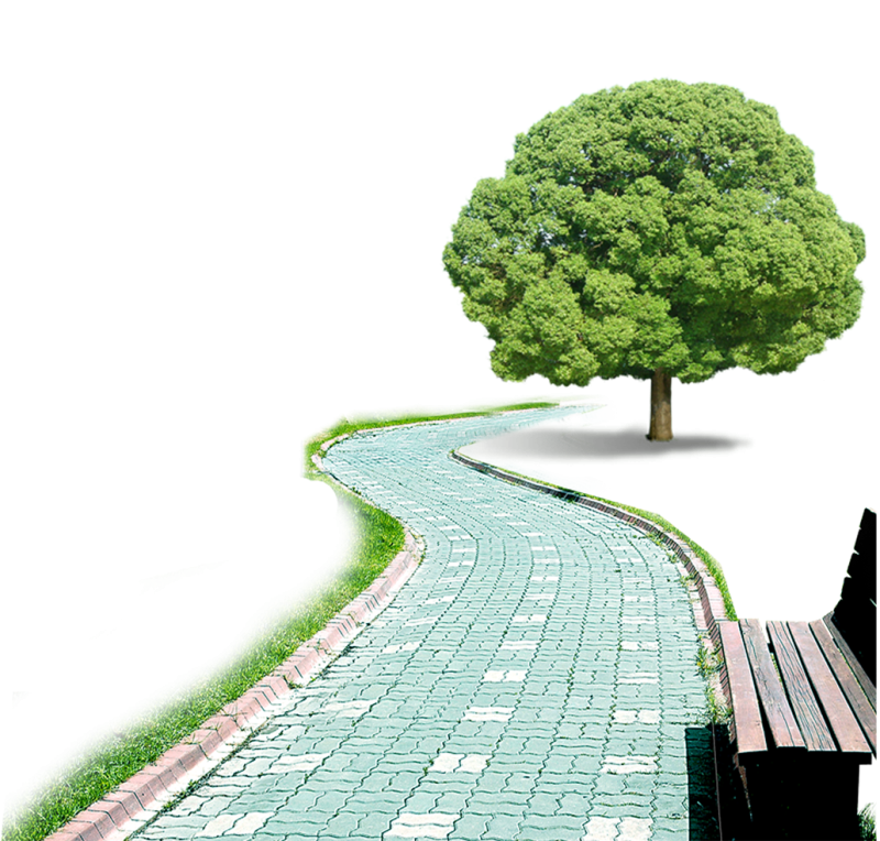 Тропинка на белом фоне